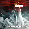 Vanity Riots - Hail Mary - Single